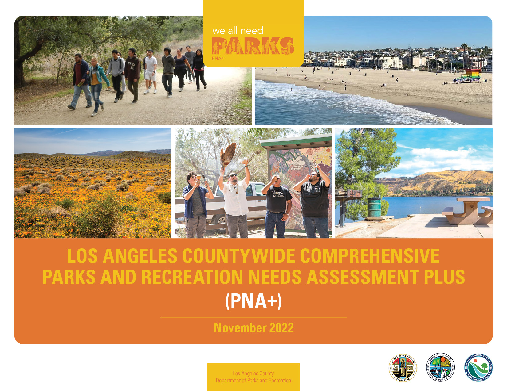 download the PNA+ report