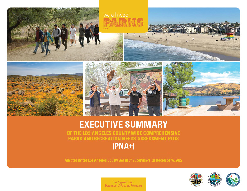download the executive summary